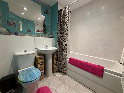 Picture 8
